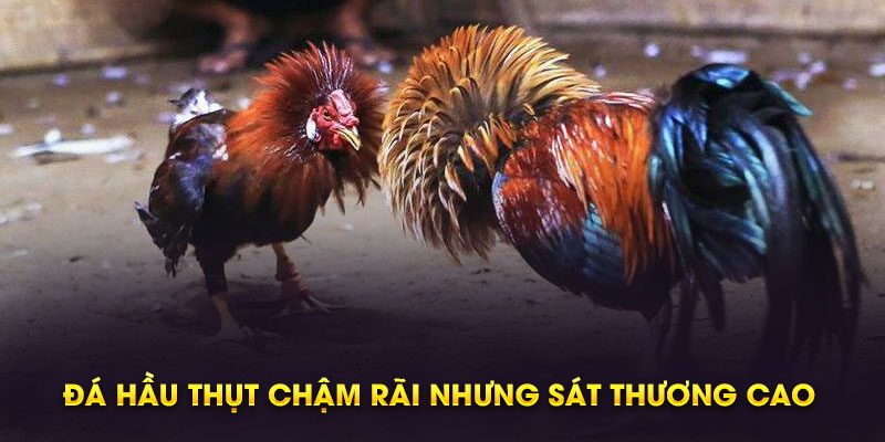 Đá hầu thụt chậm rãi nhưng sát thương cao 