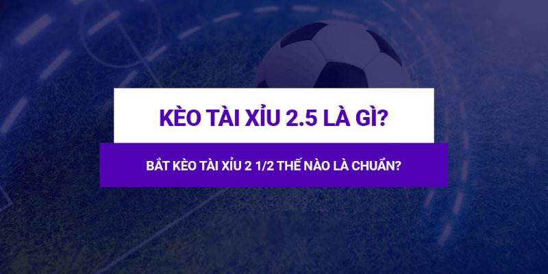 Kèo 2.5 là gì và vì sao lại được nhiều người chơi lựa chọn