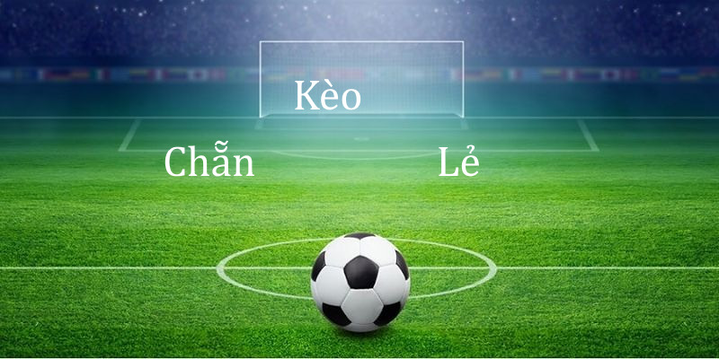 Chơi cá độ với kèo chẵn lẻ khá đơn giản